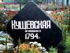Фигурант дела о массовом убийстве в Кущевской Цеповяз отпущен под подписку о невыезде