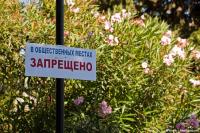 Совершенство