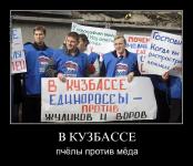 В Кузбассе пчелы против меда