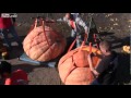 Одни с голоду помирают, другие еду с землей мешают…