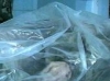 Тело солдата-срочника из Омска вернули матери без внутренних органов