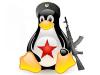 В России стартует гигантский Linux-проект