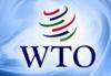 ВТО — мы вступаем и ничего не теряем
