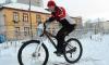 [Вот и помогай после этого людям! ] В Тюмени задержан опасный велосипедист