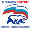 Выброы по-тульски: бюллетень, с галочкой напротив ЕР и подписью :«Бюллетень, заполненный иначе, считается недействительным».