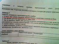 Контрольная по русскому языку