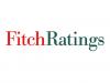 Рейтинговые агентства Fitch предупреждают о растущих политических рисках в России