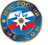 Сегодня Российские спасатели отмечают профессиональный праздник