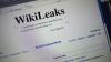 WikiLeaks опубликует «миллионы» секретных документов американской разведывательно-аналитической компании Stratfor
