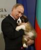 27 причин выбрать Путина президентом России