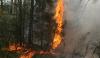 Лесные пожары в России снова бьют рекорды из-за того что их нельзя тушить без лицензии