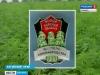 В Алтайском крае, наравне с элитными сортами французского винограда, будут выращивать качественную отечественную коноплю!