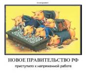 Новое правительство РФ приступило к работе