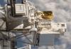 ESA опубликовало результаты эксперимента по пребыванию лишайника в открытом космосе