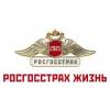 Маленькая компания «Росгосстрах-Жизнь» сказочно обогатилась всего за один год