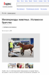 Телепрограмма от Яндекса