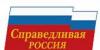Пикеты сахалинских справедливоросов разогнали побоями