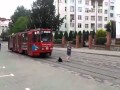Собака на рельсах и… пусть весь мир подождет