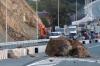 Трасса Седанка — Патрокл во Владивостоке снова завалена камнями