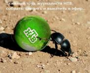 Тяжкий труд журналиста НТВ