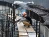 Счетная палата проверит строительство стадиона «Зенит»