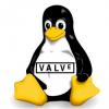 По мнению Valve, Linux более жизнеспособен как игровая платформа, нежели Windows 8