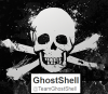 Хакерская группа GhostShell начала кибервойну с правительством России