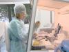 Мигранты и гомосексуалисты заразили Бельгию ВИЧ