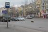 В Черкассах пес 5 лет ждет своего хозяина на остановке