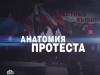 ФСБ отказалась завести дело по «Анатомии протеста»