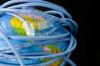 Интернет-инфраструктура может претерпеть существенные изменения в скором будущем