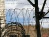 Александр Шторм: Кого доставлял в секретную тюрьму ЦРУ в Польше «Гуантанамо-экспресс»
