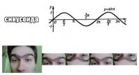 Sinusoid
