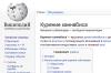 «Википедию» внесли в реестр запрещенных сайтов