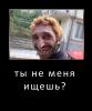 В центр Ростове-на-Дону четверо кавказцев украли и изнасиловали девушку