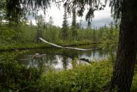 Нереальная Россия за полярным кругом (Хибины, Ловозеро)