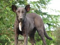 Он или не он?