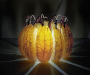 Энергия апельсина