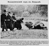 Левіафанъ заморскій