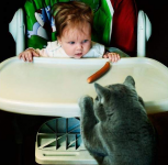 Борьба за выживание