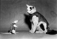 Сначала пойдём мы: что бы вы были живы, и что бы вы нами потом гордились