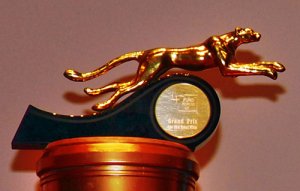 Ташкентский международный кинофорум «Золотой Гепард 2013»