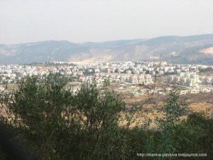 [Що там ихние Бурулево!] В Израиле решили разделить город.