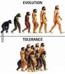 Evolution vs Tolerance