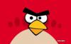 Спецслужбы США похищали персональные данные через игру Angry Birds