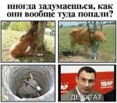 очевидное — невероятное