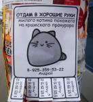 Продам котика, похожего на крымского прокурора