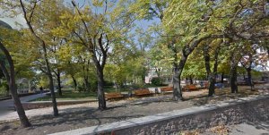 В Донецке появится сквер «Памяти погибших бойцов «Беркута»