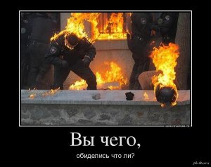 Царев: бойцам Беркута предлагали до $200 тыс. за возвращение на службу