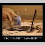 Что значит забанен?